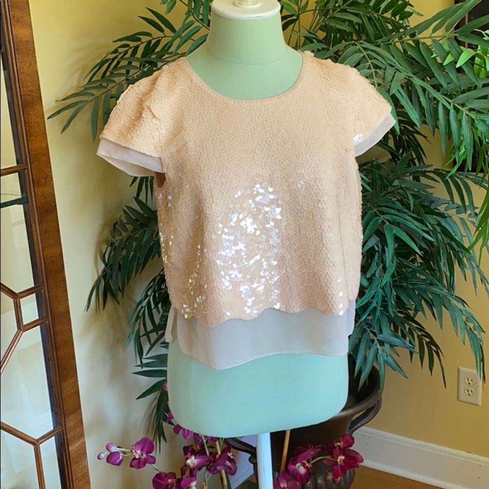 BCBG silk & shimmer cap sleeve blouse